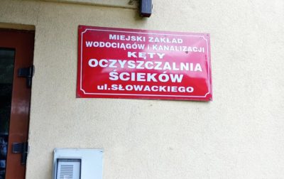 d3a54df9-4f6c-4082-aba0-24dd20e4d0c3.jpeg